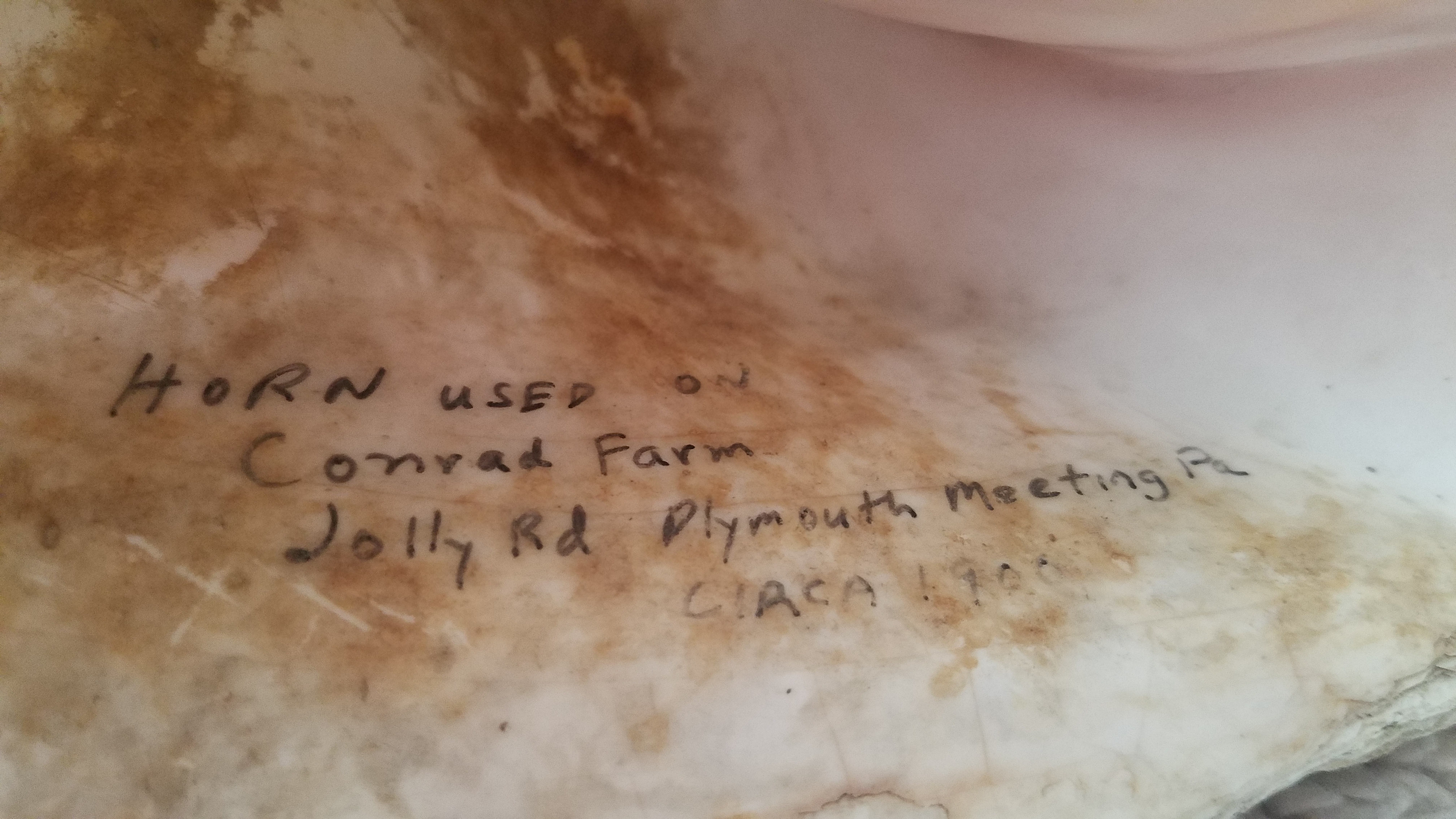 Conch shell inscription